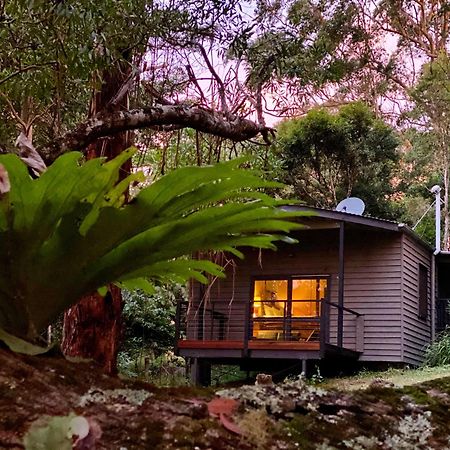 Whispering Valley Cottage Retreat Maleny Luaran gambar