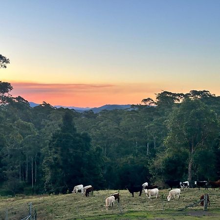 Whispering Valley Cottage Retreat Maleny Luaran gambar