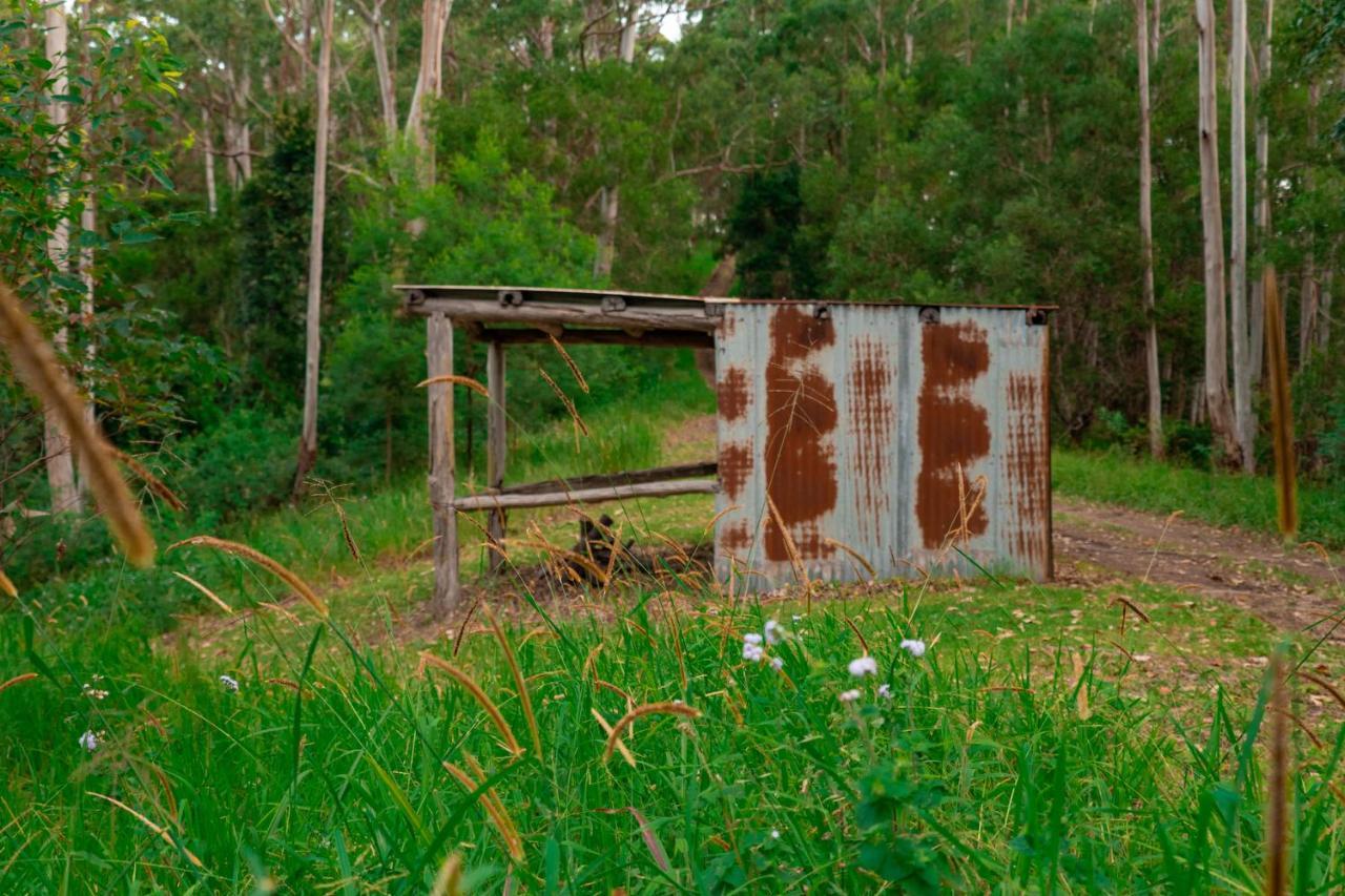 Whispering Valley Cottage Retreat Maleny Luaran gambar