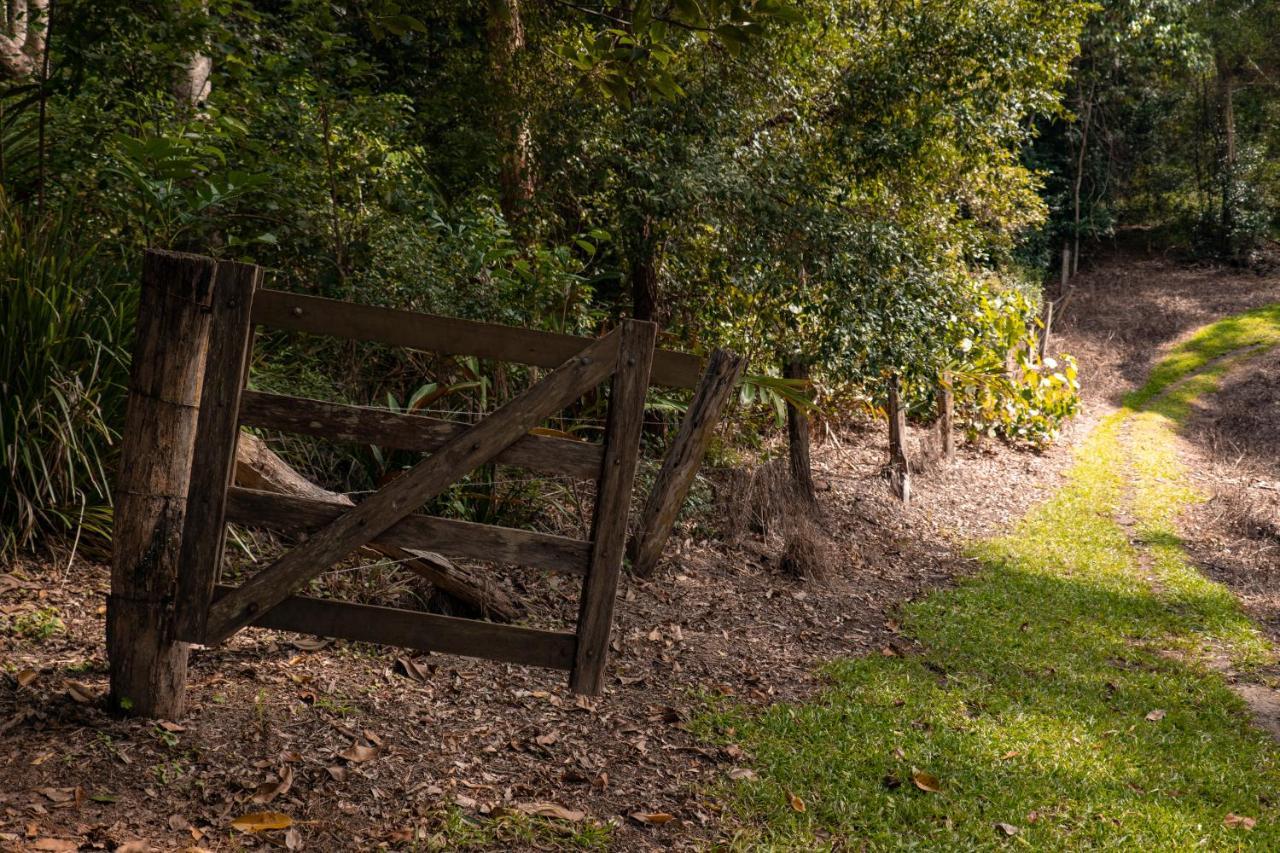 Whispering Valley Cottage Retreat Maleny Luaran gambar
