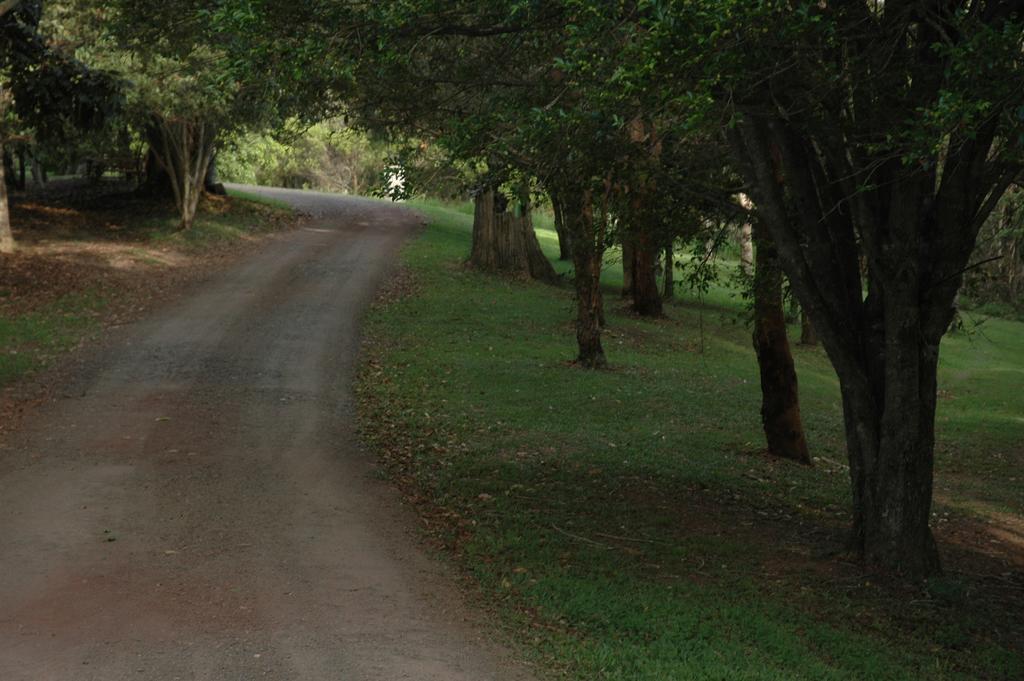 Whispering Valley Cottage Retreat Maleny Luaran gambar