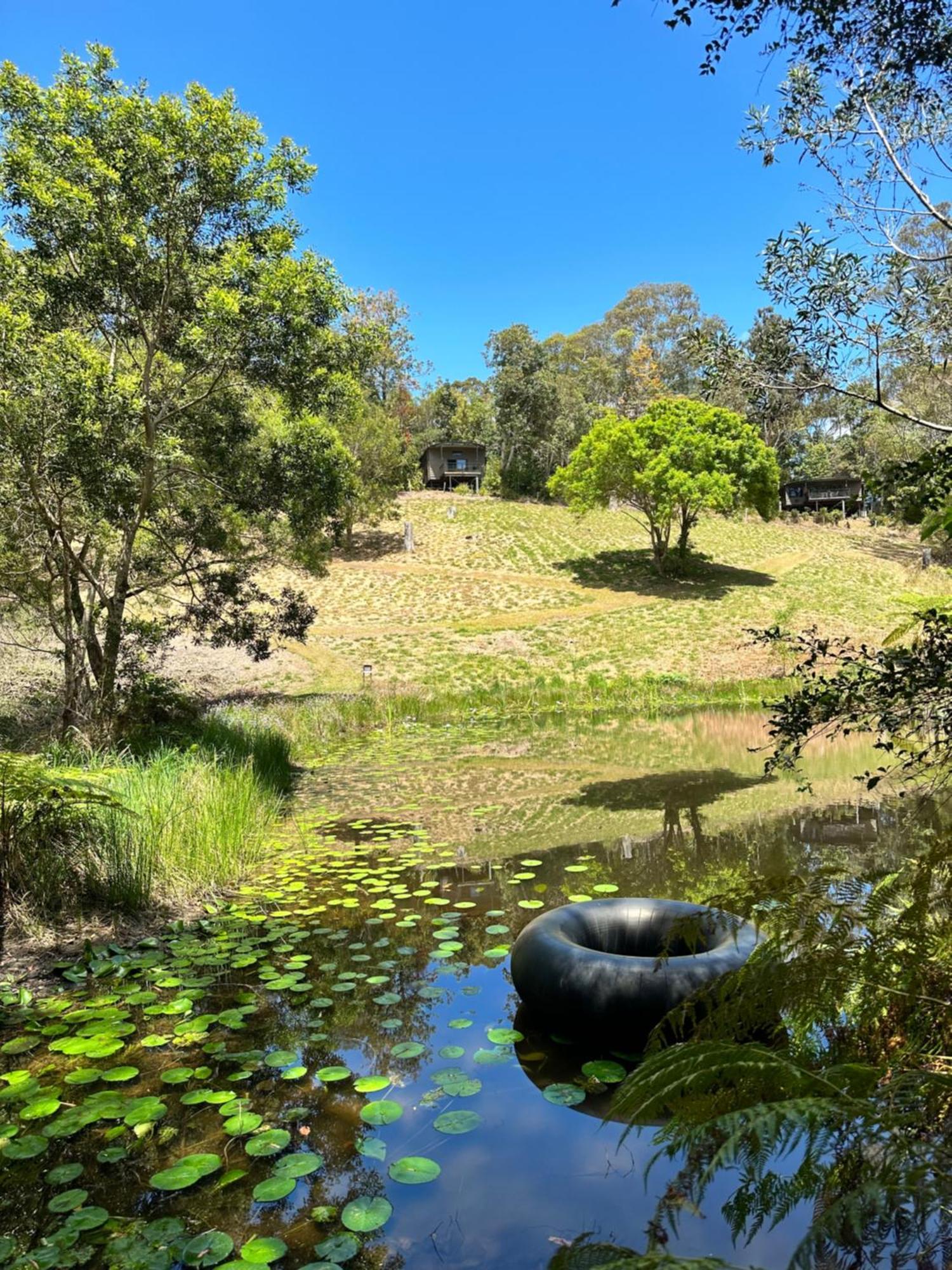 Whispering Valley Cottage Retreat Maleny Luaran gambar