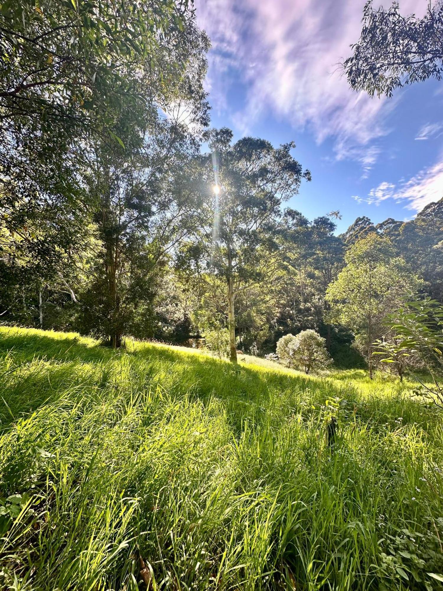 Whispering Valley Cottage Retreat Maleny Luaran gambar