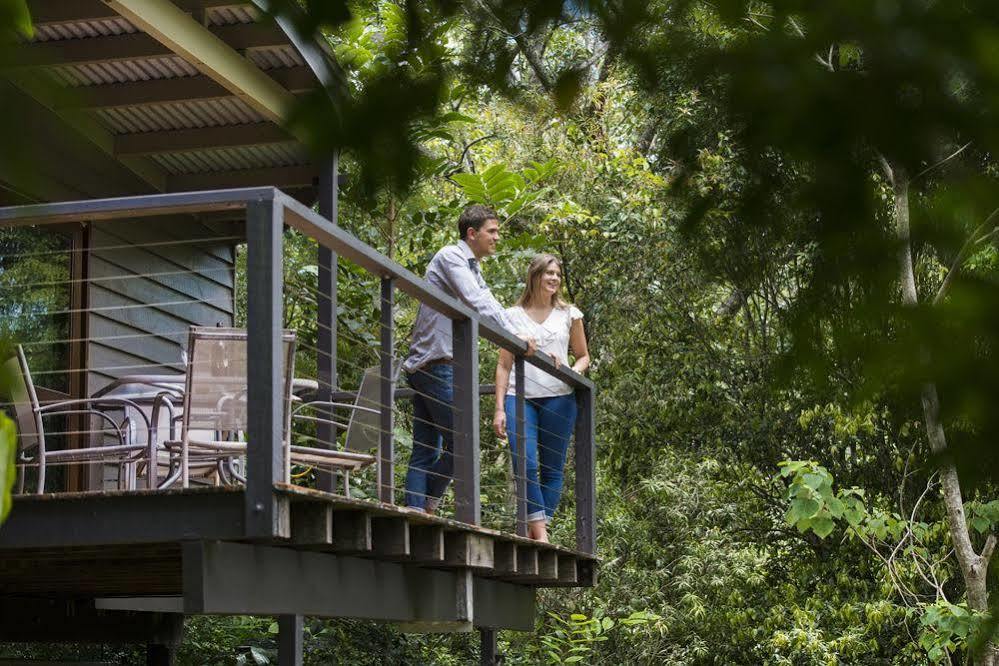 Whispering Valley Cottage Retreat Maleny Luaran gambar