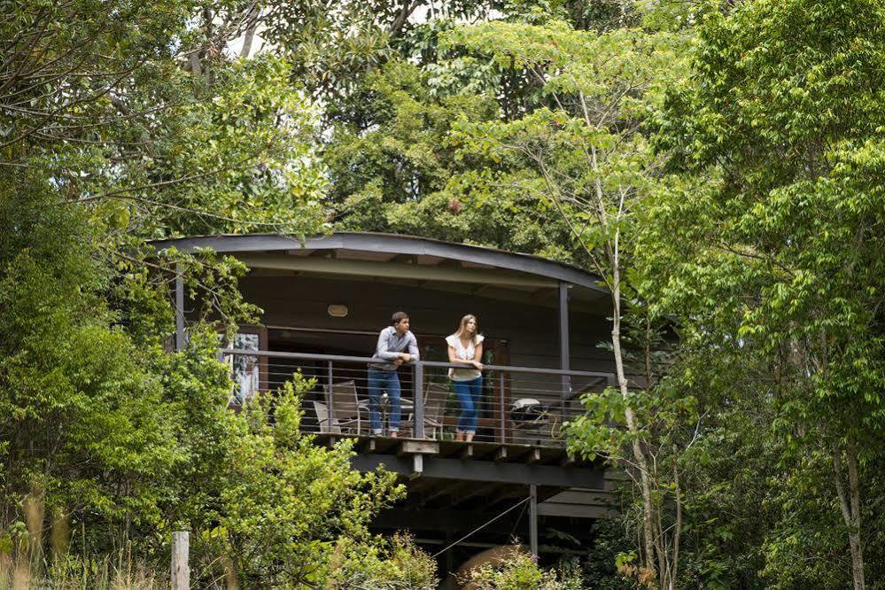Whispering Valley Cottage Retreat Maleny Luaran gambar
